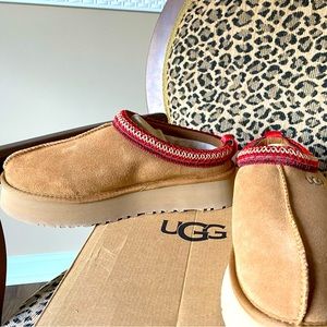 New in box TAZZ UGGS